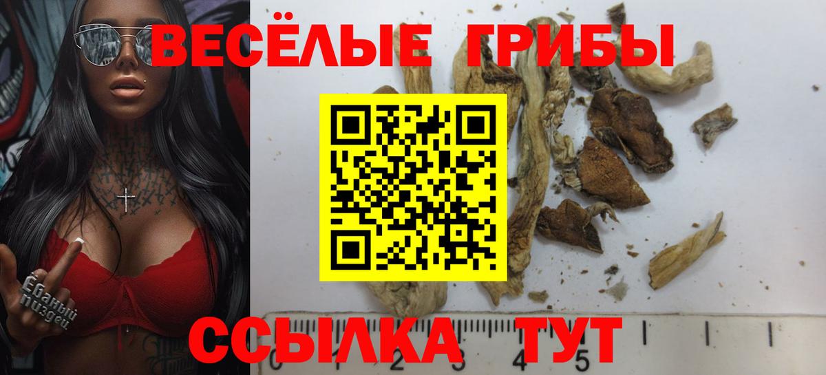 Псилоцибиновые грибы мицелий  Вход с VPN  Орск  Галлюциногенные грибы прущие грибы 